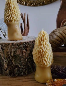 Morel mushroom beeswax candle