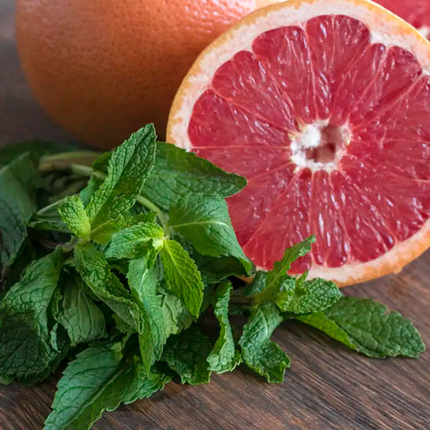 Citrus and Mint