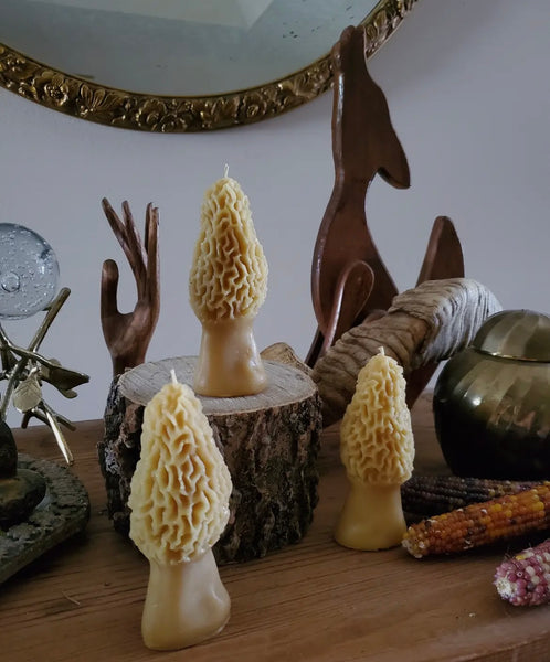 Morel mushroom beeswax candle